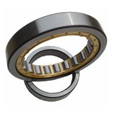 High Accuracy Double Row Cylindrical Roller Bearings for Gearbox Press Machine (NJ2316)