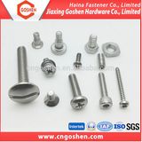 Ss304 316 Button Head Pan Head Flat Head Machine Screw