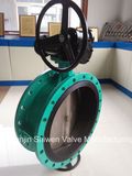 API/ANSI/DIN/JIS Cast Iron/Ductile Iron Double Flange Butterfly Valve