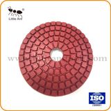 Diamond Stone Polishing Pad 4