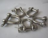 Stainless Steel Shackle