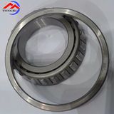 Best Quality/ Wholesale/ Tongri/ Tapered Roller Bearing/ for Machine