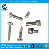 DIN7981 DIN7982 DIN7985 Fastener Screw Self Tapping Screw Machine Screw Pan Head Countersunk Head Stainless Steel Screw