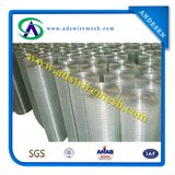 Welded Wire Mesh