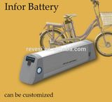 18650 36V Rechargeable Lithium Ion Battery Pack for E Bike