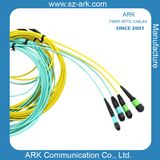 ARK Communication Co., Ltd.