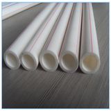 PPR Pipe Plastic Tube Water Distribute Pipe in Building