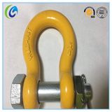 Color Painted Bolt Type Bow Shackle