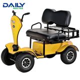 Double Seat Electric Golf Cart with 24V 1500W Power Motor