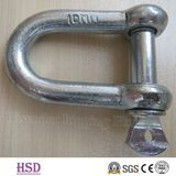 Zinc Plated European Dee Shackle of Marine Hardware