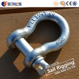 High Tensile Steel Hot Dipped Galvanized G209 Shackle