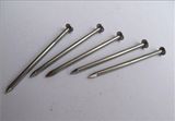 High Quality Building Q195 Polished Common Nail Use in Wood Nail