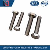 Gold Supplier High Tensile Stainless Steel Hexagon Head Bolt