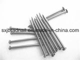 Hardware Manufacturer Export Common Nails