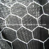 Anping Kingdelong Wire Mesh Co., Ltd.