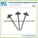 Electro Galvanized Assembled Screw Twisted Spiral Concave Roofing Nail