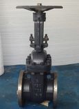 ANSI API Wcb Flanged Gate Valve (Z41H-150LB)