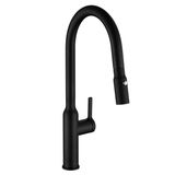 Multi-Function Brass Sprayhead Pull-out Kitchen Faucet