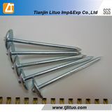 Professioal Manufacturer Spiral Shank Roofing Nails