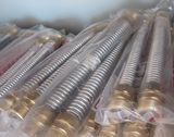 Stainless Steel Metal Hose with Braids for Water