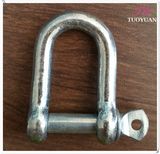 Galvanzed European Type Large D Shackle