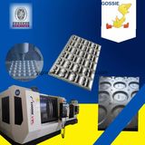 Yantai Gossie Import & Export Co., Ltd.