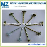 Yellow Zinc Umbrella Head Roofing Nail Twist Smooth Shank