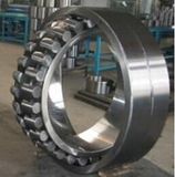 Shanghai Rona Bearing Co., Ltd.