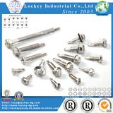 Stainless Steel Screw Self Tapping Screw Self Drilling Screw Deck Screw Machine Screw Wood Screw