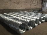 Galvanized Iron Wire Wire Mesh 14#