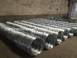 Galvanized Iron Wire Wire Mesh 14#