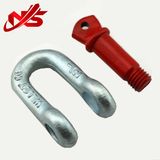 Screw Pin Chain Shackle Marine Hardware