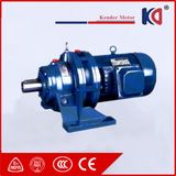 Cycloid (Cyclo) Gearbox Reducer with AC Electric Motor