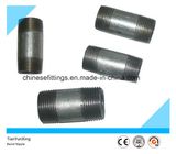 Hot DIP Galvanized Carbon Steel NPT Threaded Barrel Pipe Nipple