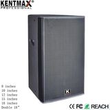 10 Inches 250W Tweeter Bass Indoor Show Karaoke Speaker (RS-10)