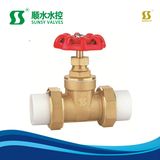 Ss1130 Bsp NPT PPR Brass Gate Valve Brass Stem