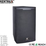 OEM/ODM DJ Big Bass 12