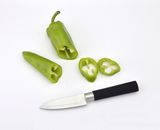 Kitchen Tool Soft Touch Handle Stainless Steel Paring Fruit Knife