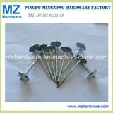 Twist Screw Smooth Shank Umbrella Head Roofing Nail