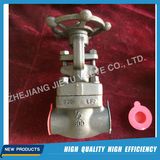 API Forged Steel Socket Welding Gate Valve 150-800lb