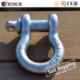 HDG Us Type Carbon Steel Screw Pin Shackle