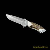 Fixed Blade Knife with Deer Horn Handle (#3712)