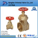 Brass Gate Valve with Low Price