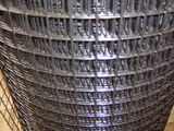 Galvanized Welded Wire Mesh for Building