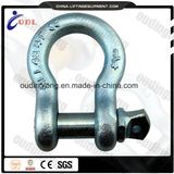 G209 Us Type Bow Shackle with Screw Pin