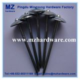 Electro Hot-Dipped Galvanized Umbrella Head Roofing Nail