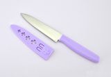 Professional Stainless Steel Blade Kitchen Fruit Knife