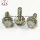 Screw/Bolt/Self-Tapping Screw/Assemblies Screws with High Quality