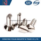 A2 A4 35#45# High Quality DIN963 Slotted Countersunk Head Screw for Machinery and Instructure