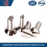 Made in China Slotted Countersunk Head M5 Machine Screws